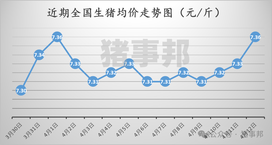 4500网约外围模特女神 猪事邦||4月12日猪价汇总（“二育”升温，北涨南稳！）  第2张
