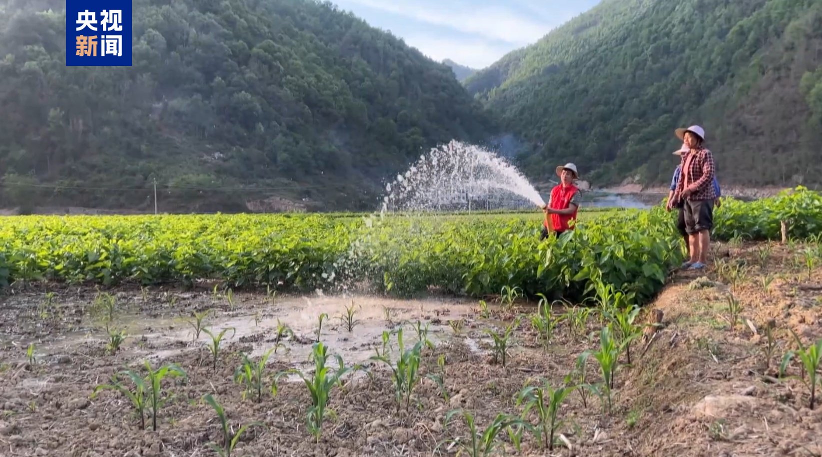 4500网约外围模特女神 广西河池持续旱情影响7万亩农田 多部门紧急送水保民生  第6张