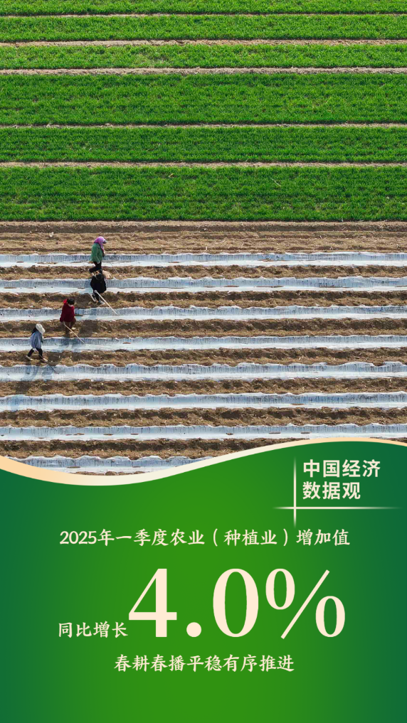 4500网约外围模特女神 中国经济数据观丨十组数据看一季度经济发展成色  第3张
