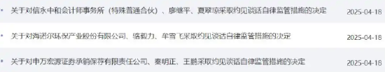 4480yy在线A片无码 海诺尔IPO项目保荐履职不到位 申万宏源及两名保代被处分  第1张
