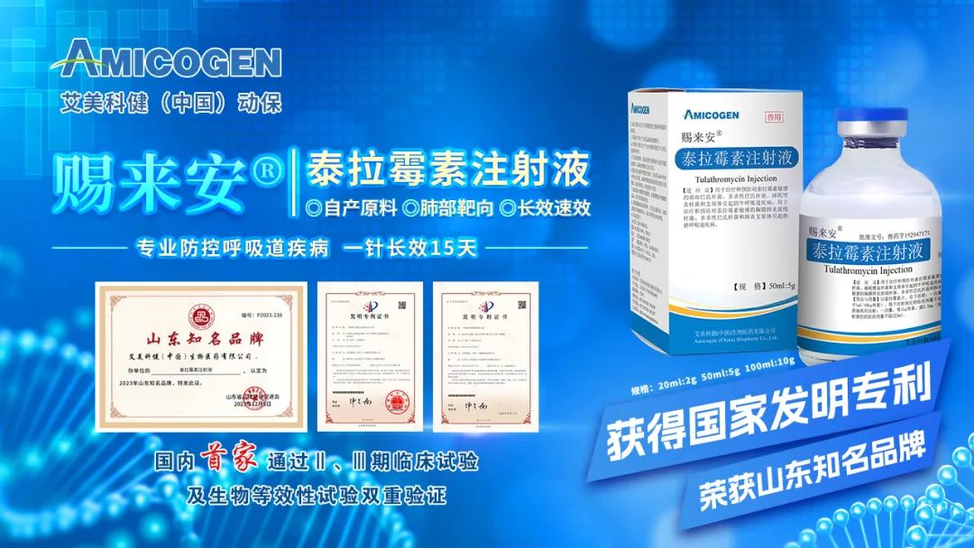4480yy在线A片无码 出栏了！头均可赚150-200，五一备货提振猪价  第1张