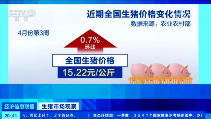 4480yy在线A片无码 出栏了！头均可赚150-200，五一备货提振猪价  第2张