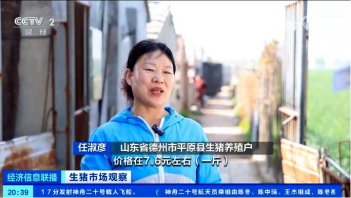4480yy在线A片无码 出栏了！头均可赚150-200，五一备货提振猪价  第3张