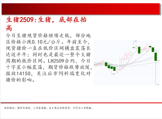 4500网约外围模特女神 中天期货:原油500关口震荡 棕榈上涨加速度  第4张
