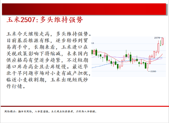 4480yy在线A片无码 中天期货:棉花重新走弱 棕榈探底回升  第7张