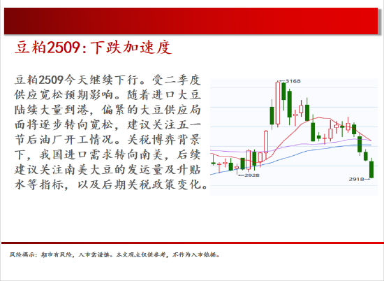4480yy在线A片无码 中天期货:棉花重新走弱 棕榈探底回升  第9张