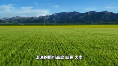 4480yy在线A片无码 时间沉香，品质出海：汾酒如何重塑中国白酒的全球表达  第2张