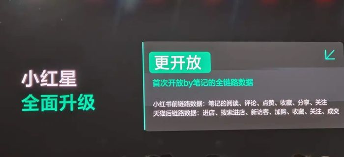 4480午夜理论免费无码 为“淘天”种草，小红书留下了什么？  第4张