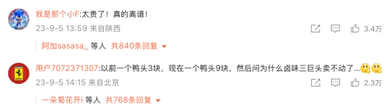 4480午夜理论免费无码 “卤味三巨头”绝味食品、周黑鸭、煌上煌业绩下滑，卖不动了  第7张