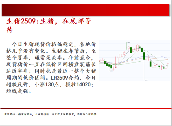 4500网约外围模特女神 中天期货:白银继续震荡 棕榈大幅反弹  第4张