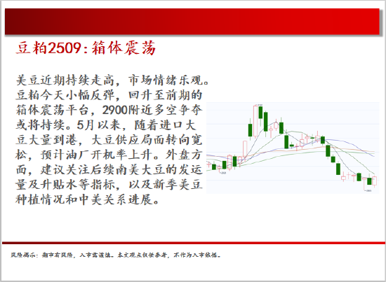4500网约外围模特女神 中天期货:白银继续震荡 棕榈大幅反弹  第9张