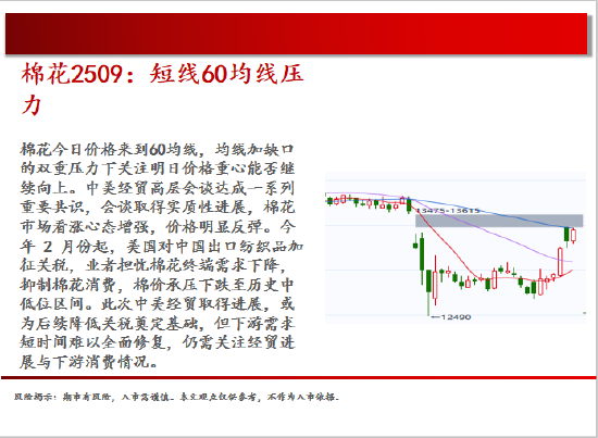 4500网约外围模特女神 中天期货:白银继续震荡 棕榈大幅反弹  第12张