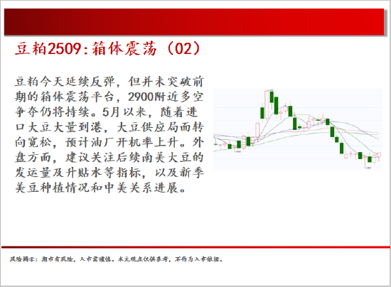 4500网约外围模特女神 中天期货:棕榈震荡回落 白糖走势不稳  第9张
