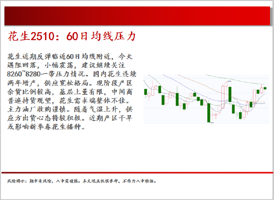 4500网约外围模特女神 中天期货:棕榈震荡回落 白糖走势不稳  第10张