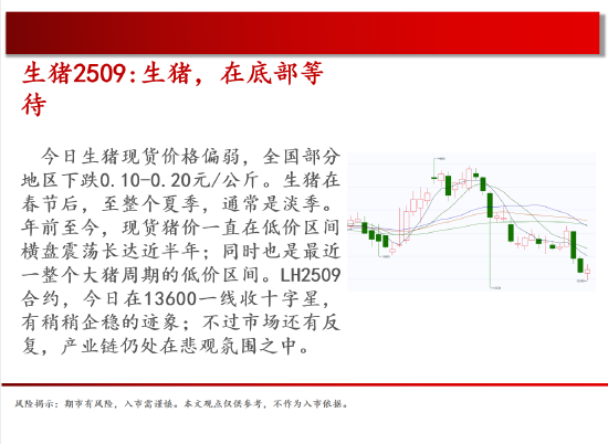 4480yy在线A片无码 中天期货:商品指数停顿震荡 棕榈震荡  第4张
