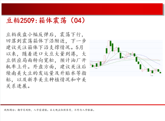 4480yy在线A片无码 中天期货:商品指数停顿震荡 棕榈震荡  第9张