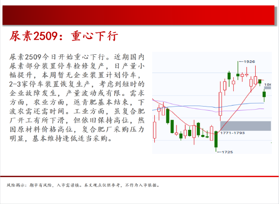 4480yy在线A片无码 中天期货:商品指数停顿震荡 棕榈震荡  第15张