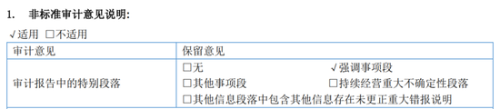 4480午夜理论免费无码 又一A股审计“自爆”！23年IPO上市，次年就财务造假？  第9张
