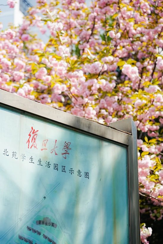 4480午夜理论免费无码 北大祝复旦，120岁生日快乐！  第28张