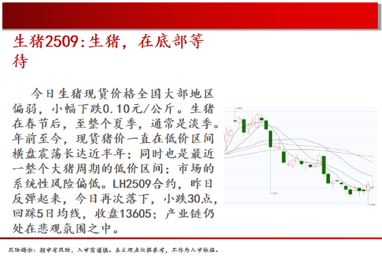4480午夜理论免费无码 中天期货:螺纹弱势震荡 尿素继续走弱  第4张