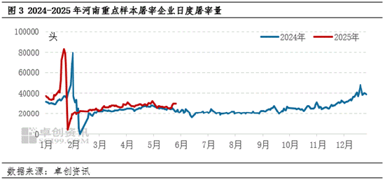 4500网约外围模特女神 白条猪肉：供应压力依旧 短期河南猪肉价格或偏弱调整  第5张
