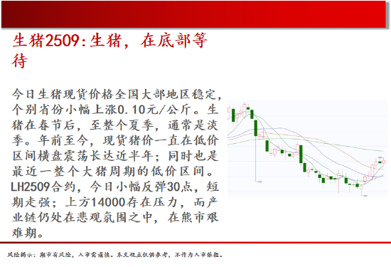 4480午夜理论免费无码 中天期货:棕榈大涨的高位调整 尿素继续大涨  第4张