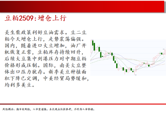 4480午夜理论免费无码 中天期货:棕榈大涨的高位调整 尿素继续大涨  第9张