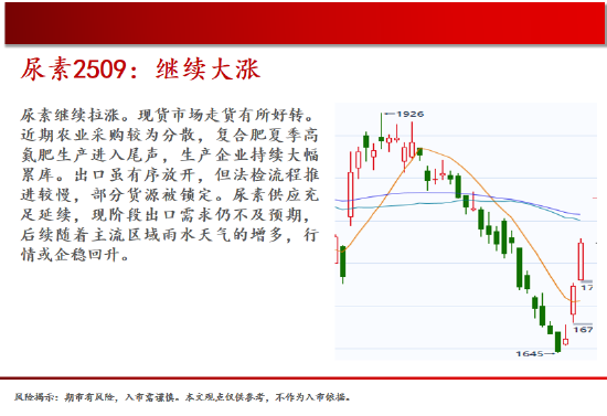 4480午夜理论免费无码 中天期货:棕榈大涨的高位调整 尿素继续大涨  第15张