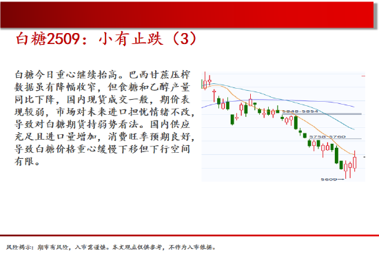 4480午夜理论免费无码 中天期货:棕榈大涨的高位调整 尿素继续大涨  第16张
