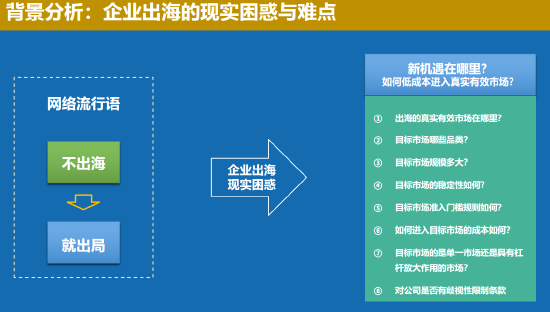 4480yy在线A片无码 中国联合国采购促进会宋嘉：企业出海是一种战略选择  第1张