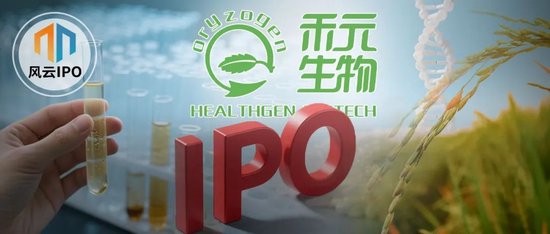 4500网约外围模特女神 “稻田造血之父”干出一个IPO，遭“前东家”专利狙击  第8张